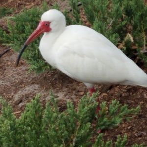 Meet your Posher, Patricia